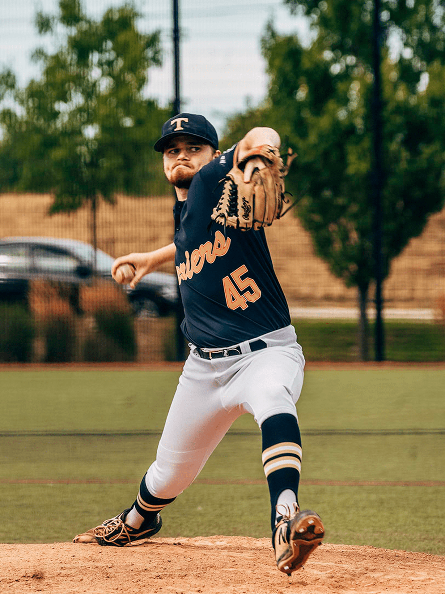 Pitcher Terrier